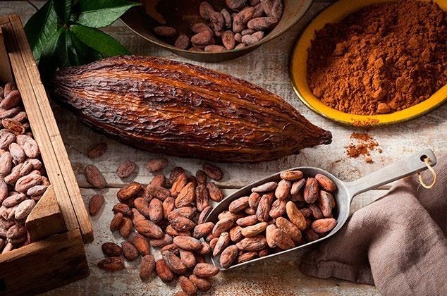 Hi Cacao